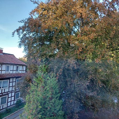 Gemuetliche Ferienwohnung Im Harz Bad Grund Kültér fotó
