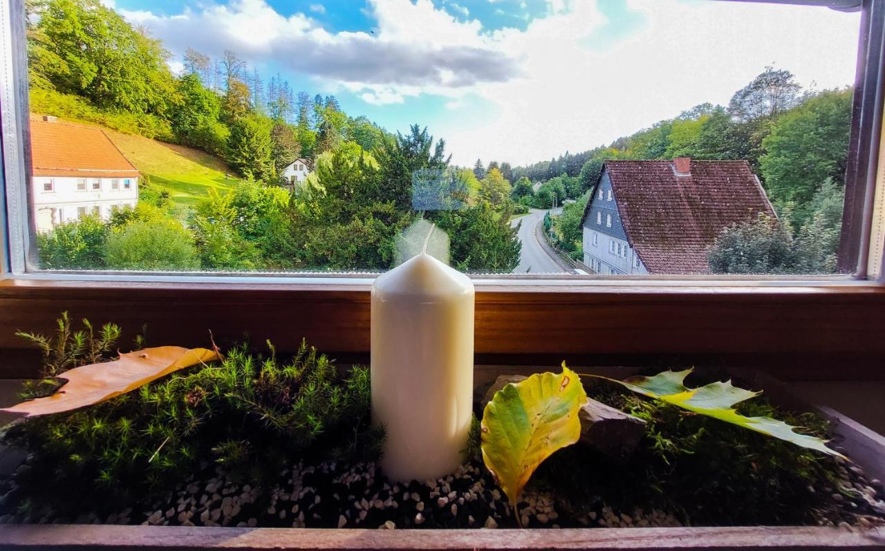 Gemuetliche Ferienwohnung Im Harz Bad Grund Kültér fotó