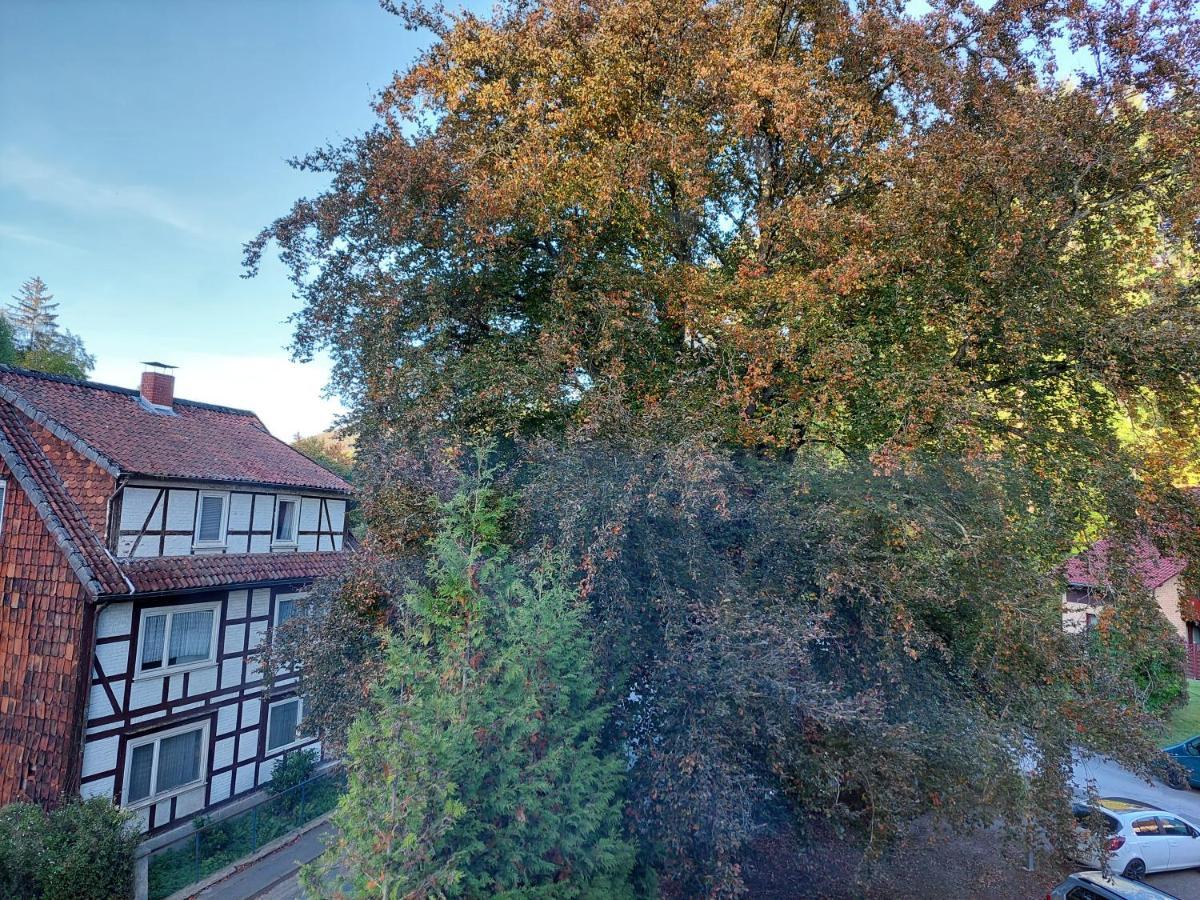Gemuetliche Ferienwohnung Im Harz Bad Grund Kültér fotó